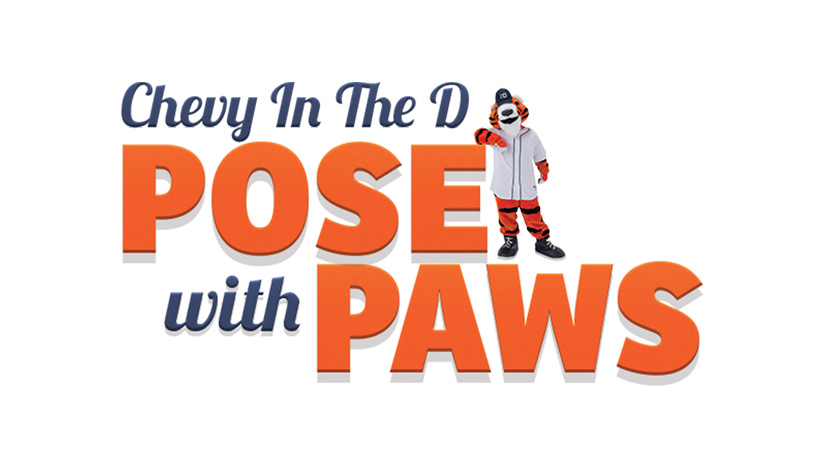 POSE WITH PAWS MIXED MEDIA CAMPAIGN